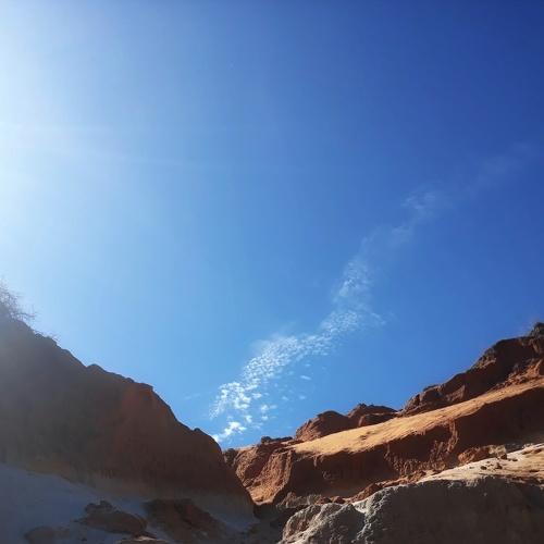 Photo #4442401