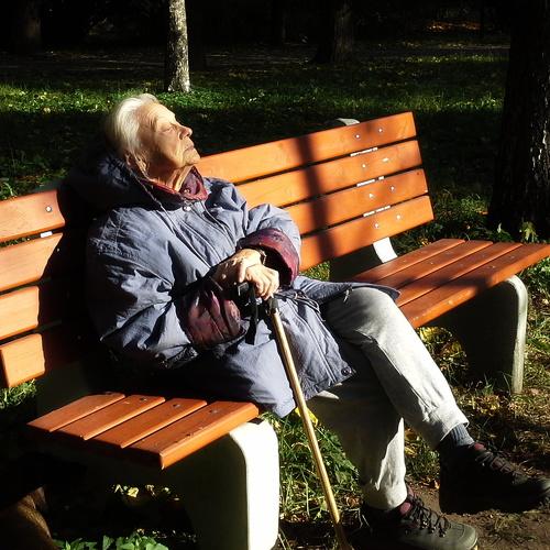 Photo #4442729