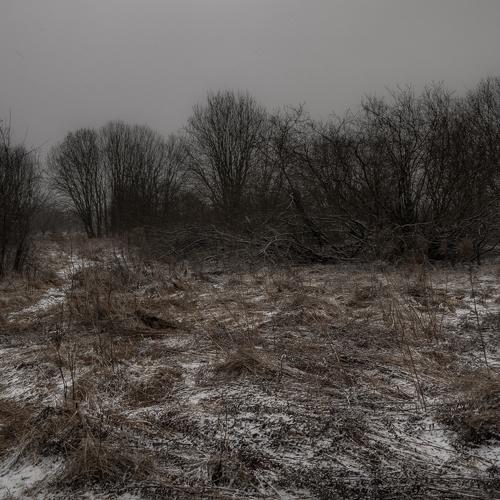 Photo #4442835