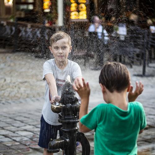 Photo #4442857