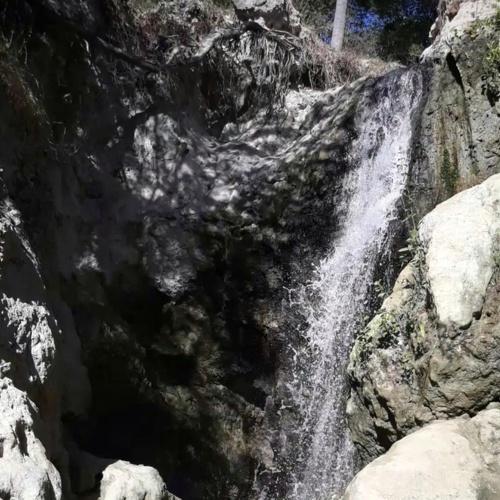 Photo #4443138