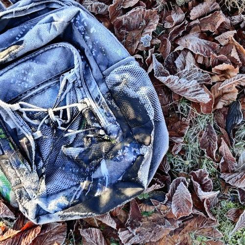 Photo #4443180