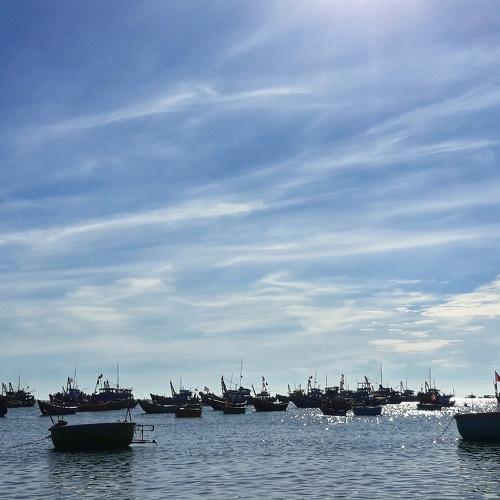 Photo #4443201