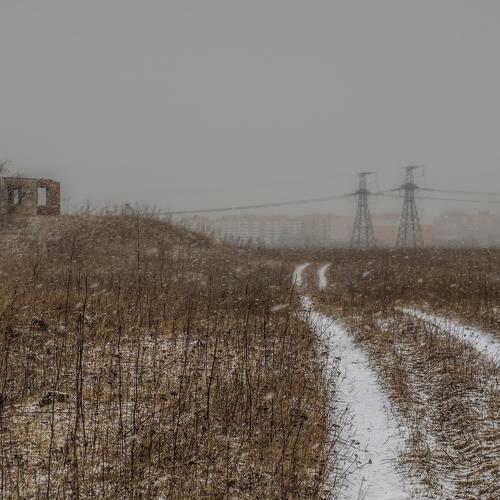 Photo #4443333
