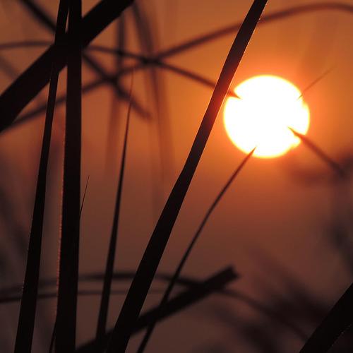 Photo #4443496