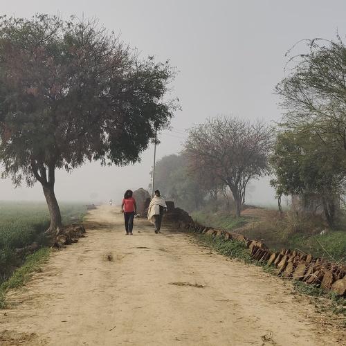 Photo #4443892