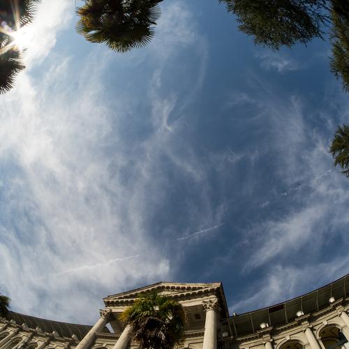 Photo #4444028