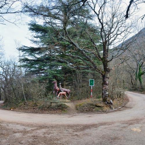 Photo #4444327
