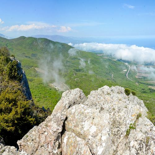 Photo #4444330