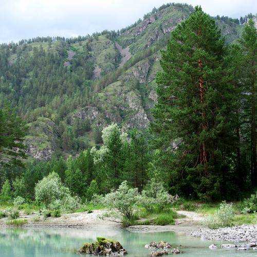 Photo #4444456