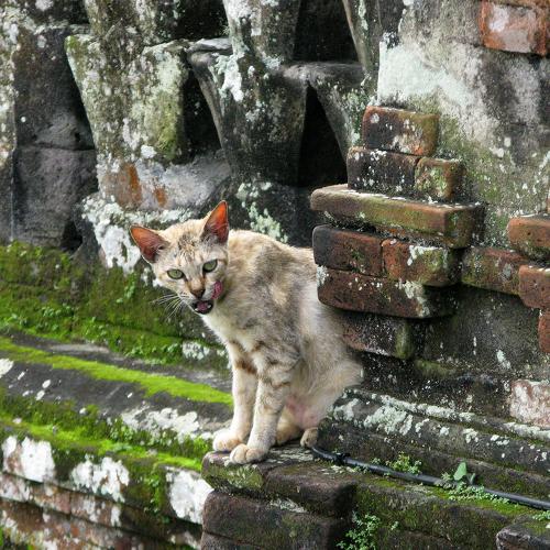 Photo #4444459