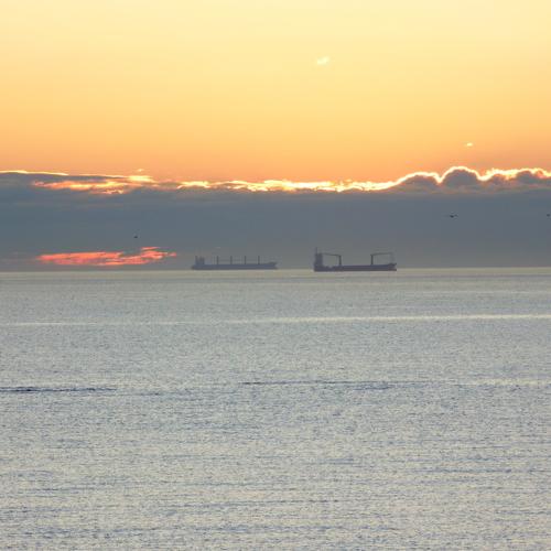 Photo #4444498
