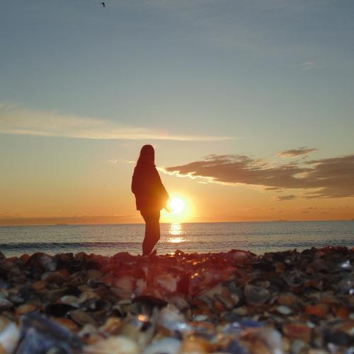 Photo #4444499