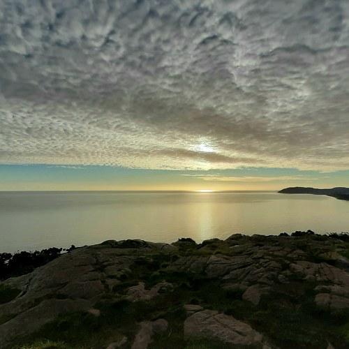 Photo #4444564