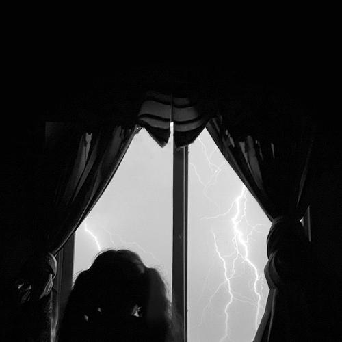 Photo #4444566