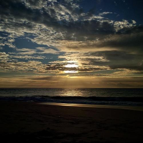 Photo #4444607