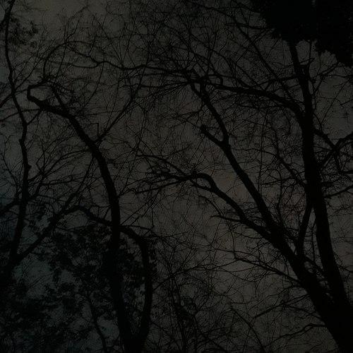 Evening Dark