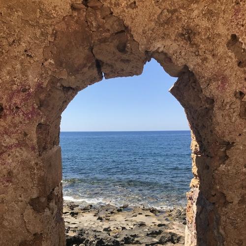 Photo #4444720