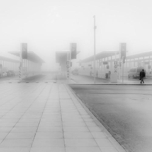 Photo #4444751