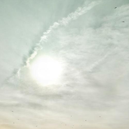 Photo #4445166