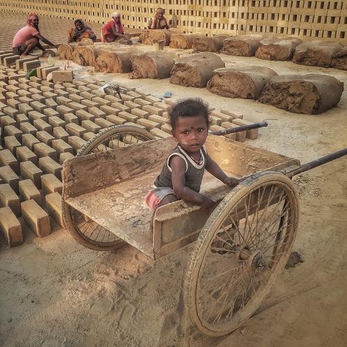 Photo #4445219