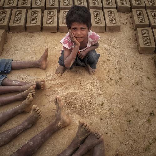 Photo #4445230