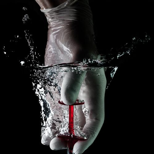 Photo #4445456