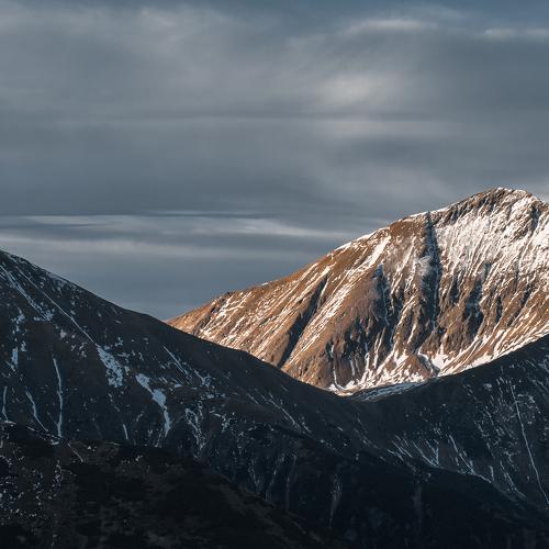 Photo #4445458