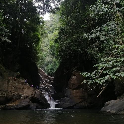 Photo #4445622
