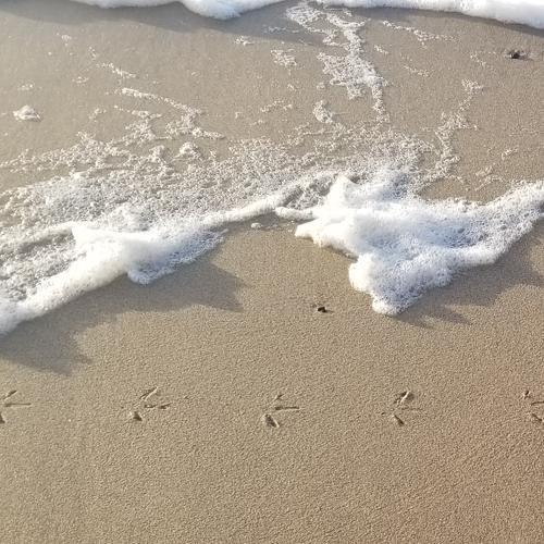 Photo #4445712