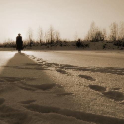 Photo #4445734