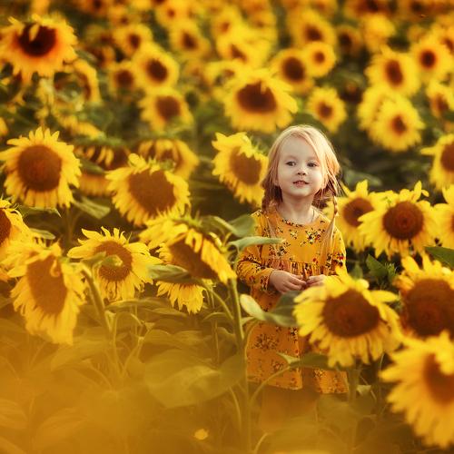 Photo #4445979