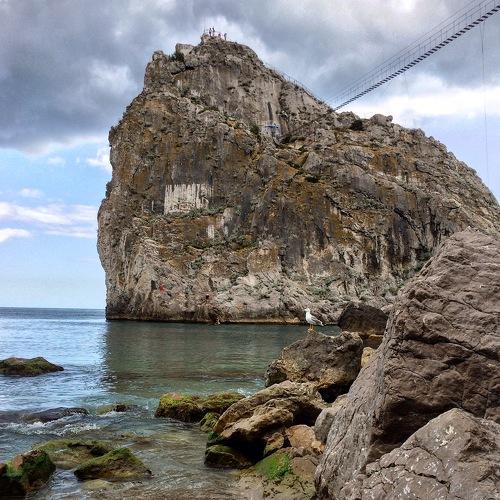Photo #4446265