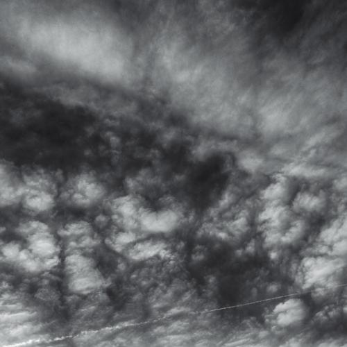 Photo #4446368