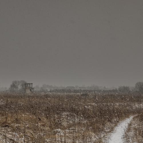 Photo #4446482
