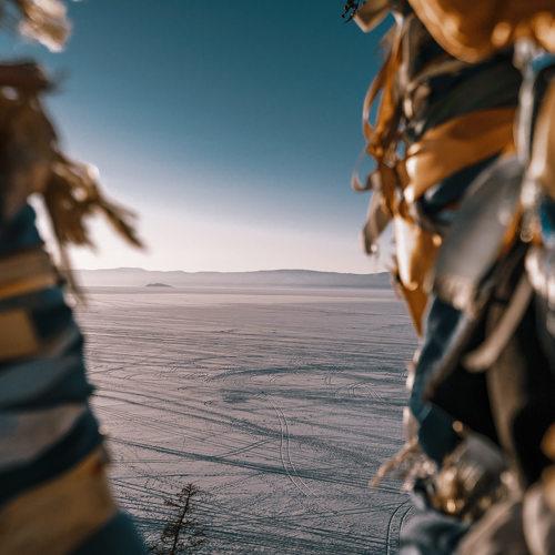 Photo #4446600