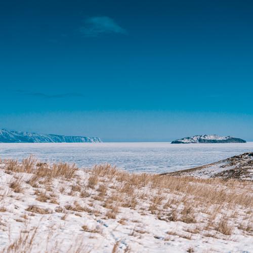 Photo #4446609