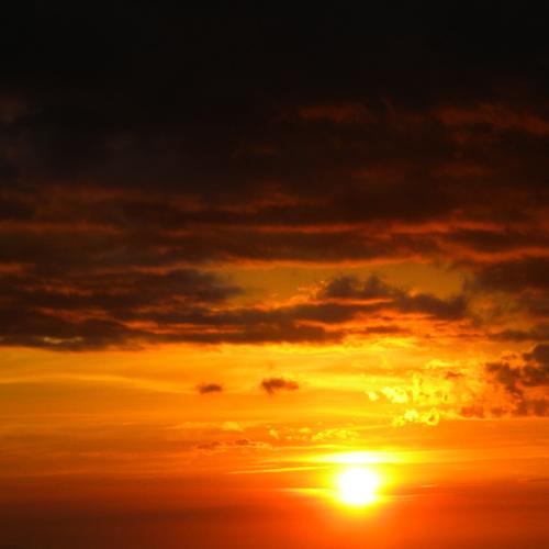 Photo #4446670