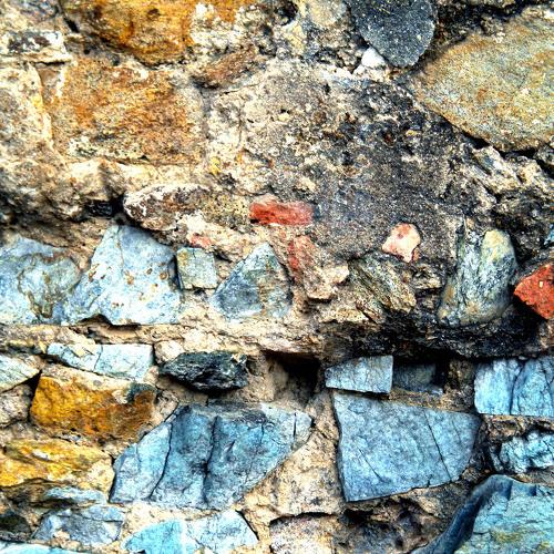 Photo #4446687