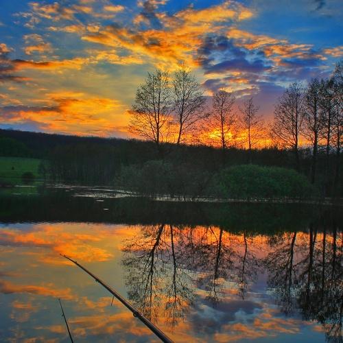 Photo #4446699