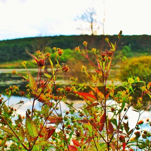 Photo #4446703