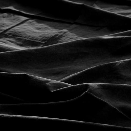 Photo #4446977