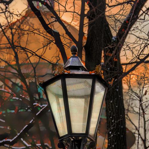 Photo #4447074