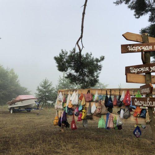 Photo #4447266