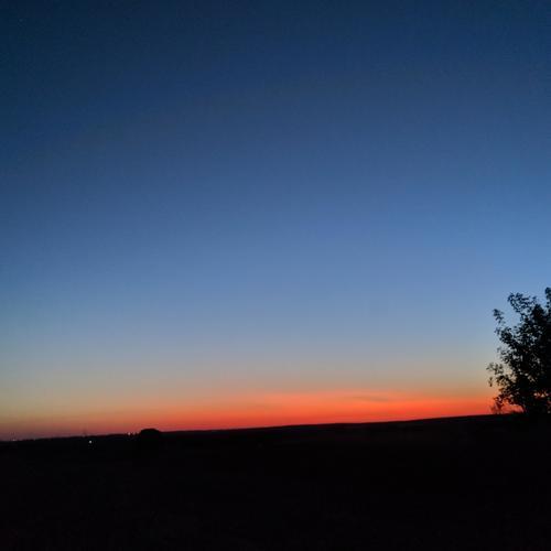 Photo #4447282