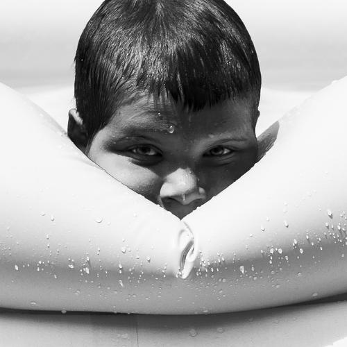 Photo #4447546