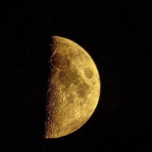 Photo #4447595