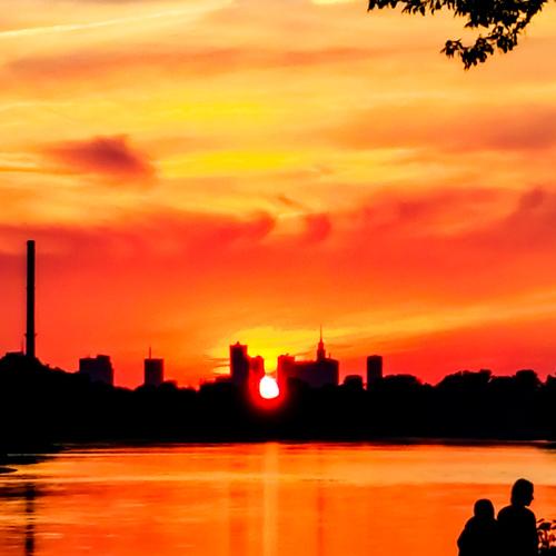 Photo #4447616