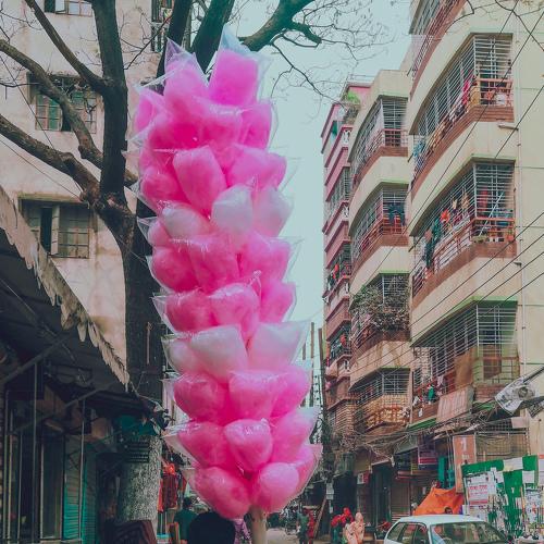 Photo #4447622