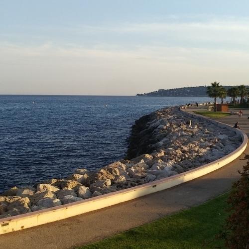 Photo #4447624